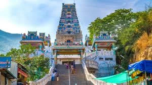 Tamil Nadu Day Wise Package trip poster