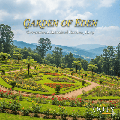 Kerala Marigot Cruise