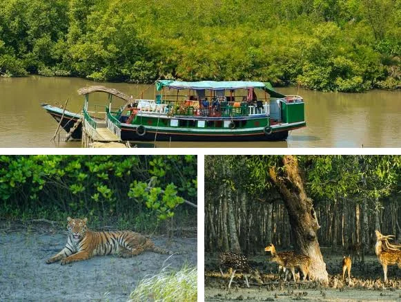 Adventure Sundarbon Tour Package trip poster