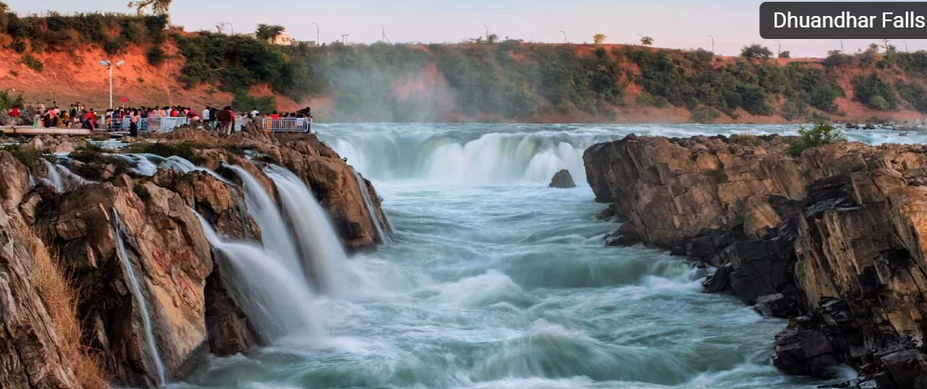 MP Jungle Safari trip poster