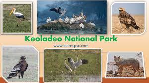 Keoladeo Ghana National Park trip poster