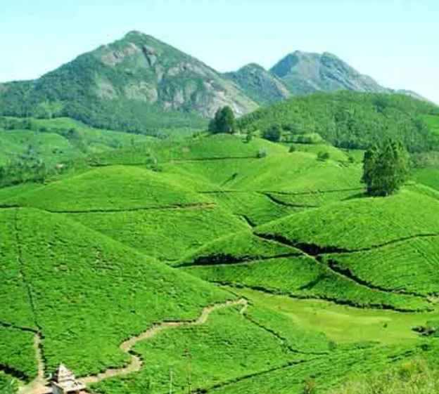 AARON KERALA - Cochin & Munnar trip poster