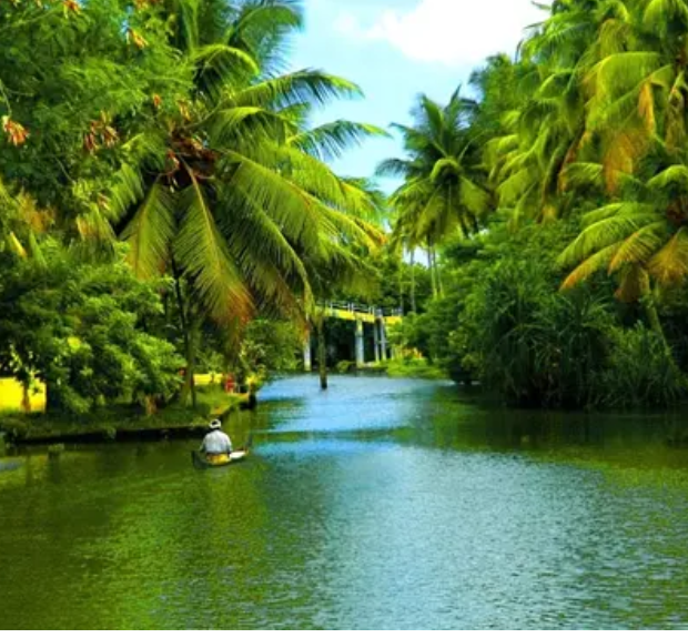 MAJESTIC KERALA - Munnar, Thekkady/Periyar, Kumara trip poster