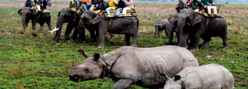 Assam Meghalaya trip poster