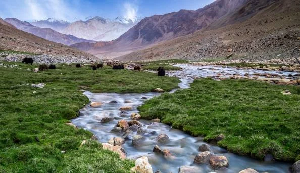 Leh Program With Kargil trip poster