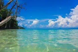 Andaman Tour Package trip poster