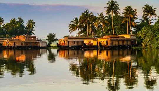 Thekkady, Alleppey and Munnar Tour trip poster